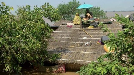 Người dân leo lên nóc nhà tránh lũ ở bang Bihar, Ấn Độ.